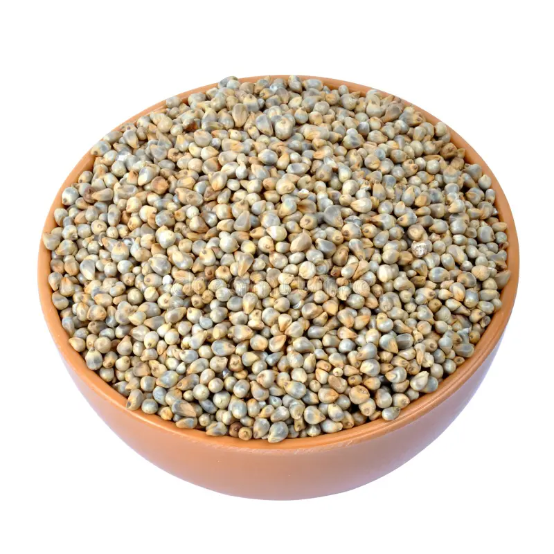 Pearl Millet (Nattu Kambu)